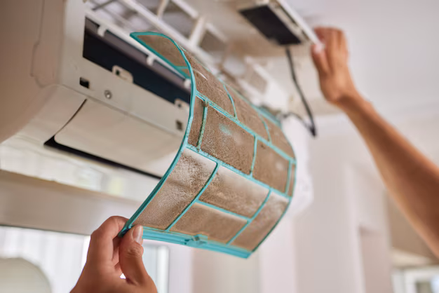 Antes da higienização